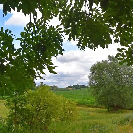 Holiday home Modern In Near Wellness Warnkenhagen (Kalkhorst)